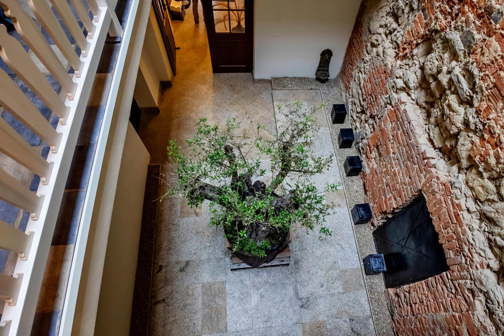 Lubartowska 19 Apartamenty 卢布林 外观 照片